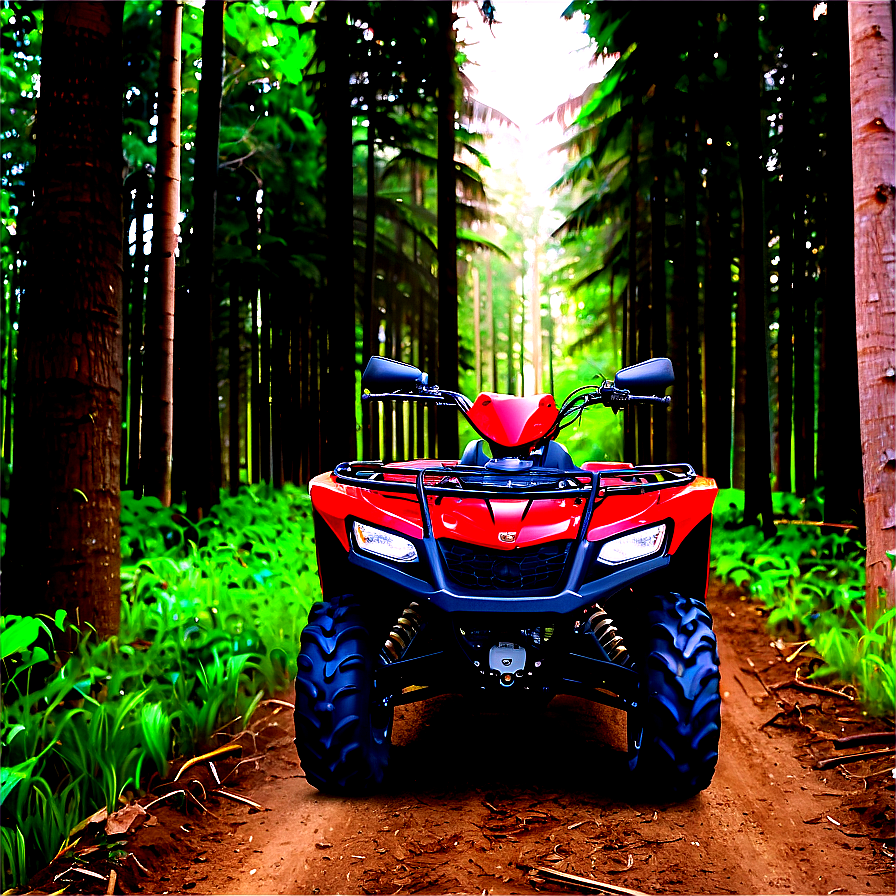 Forest Trail Atv Png Njh