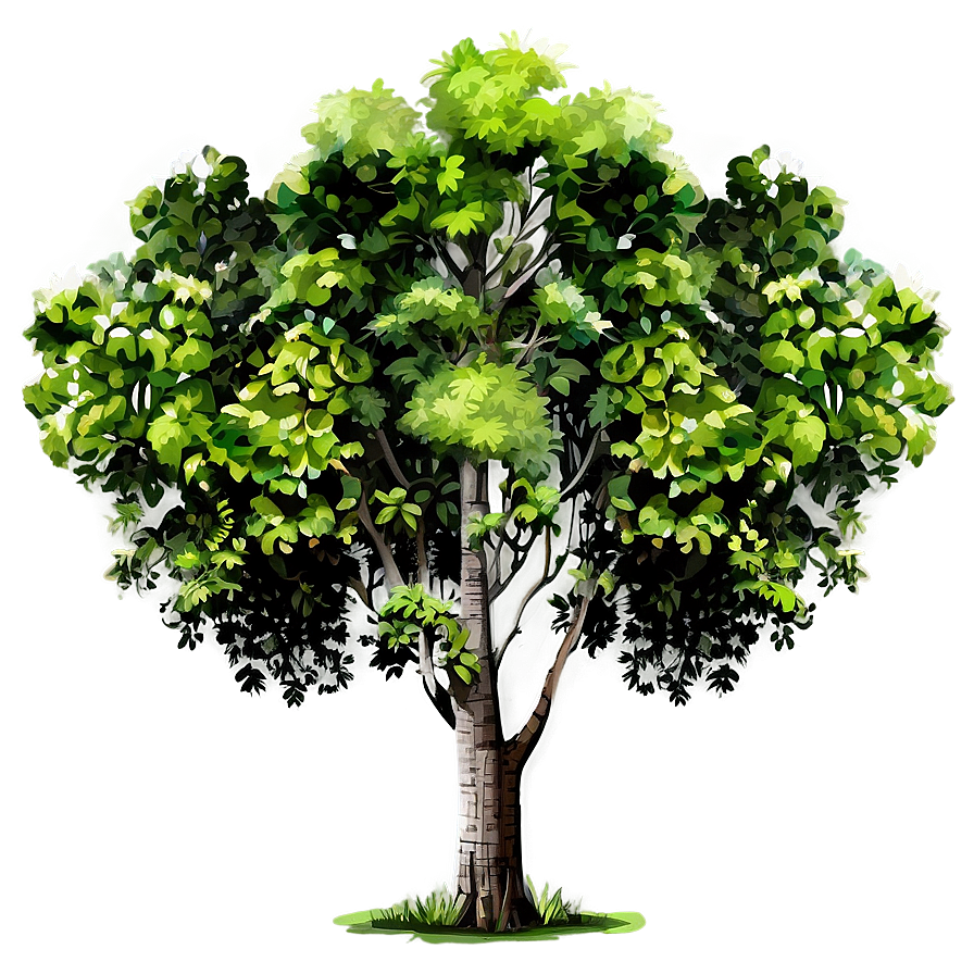 Forest Tree Elevation Png Bye