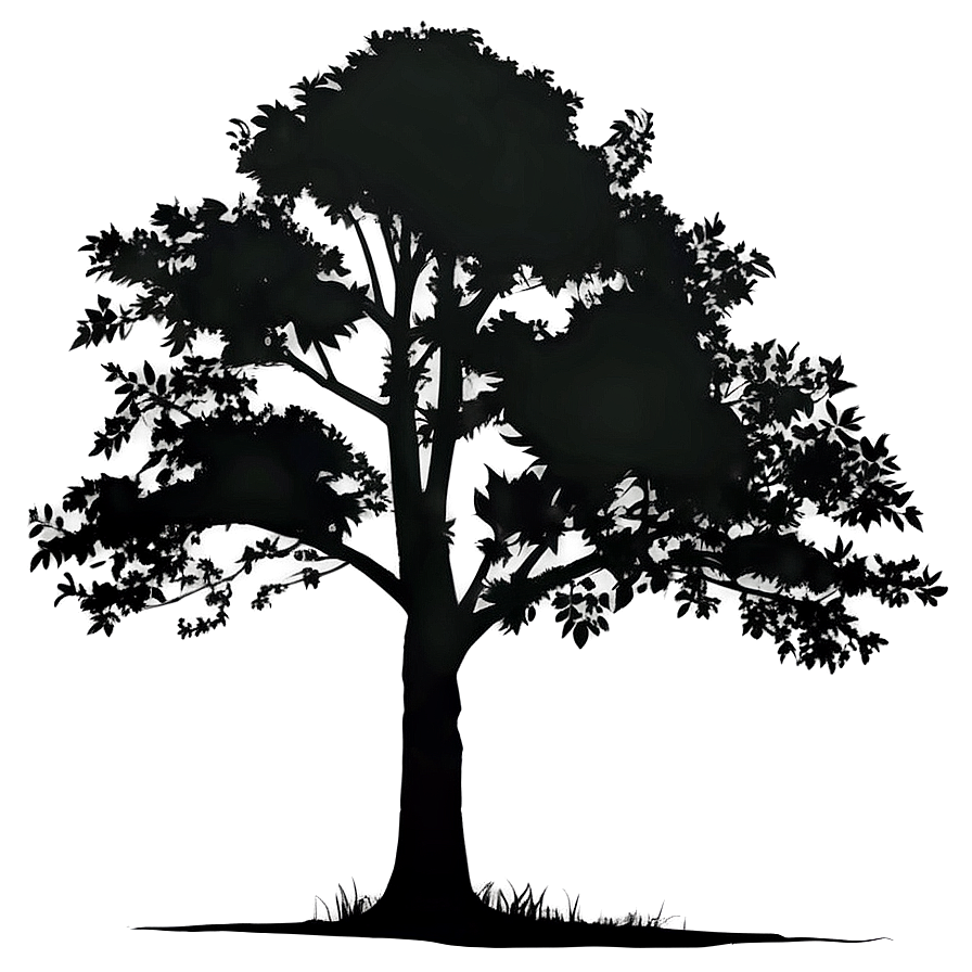 Forest Tree Silhouette Png 05252024