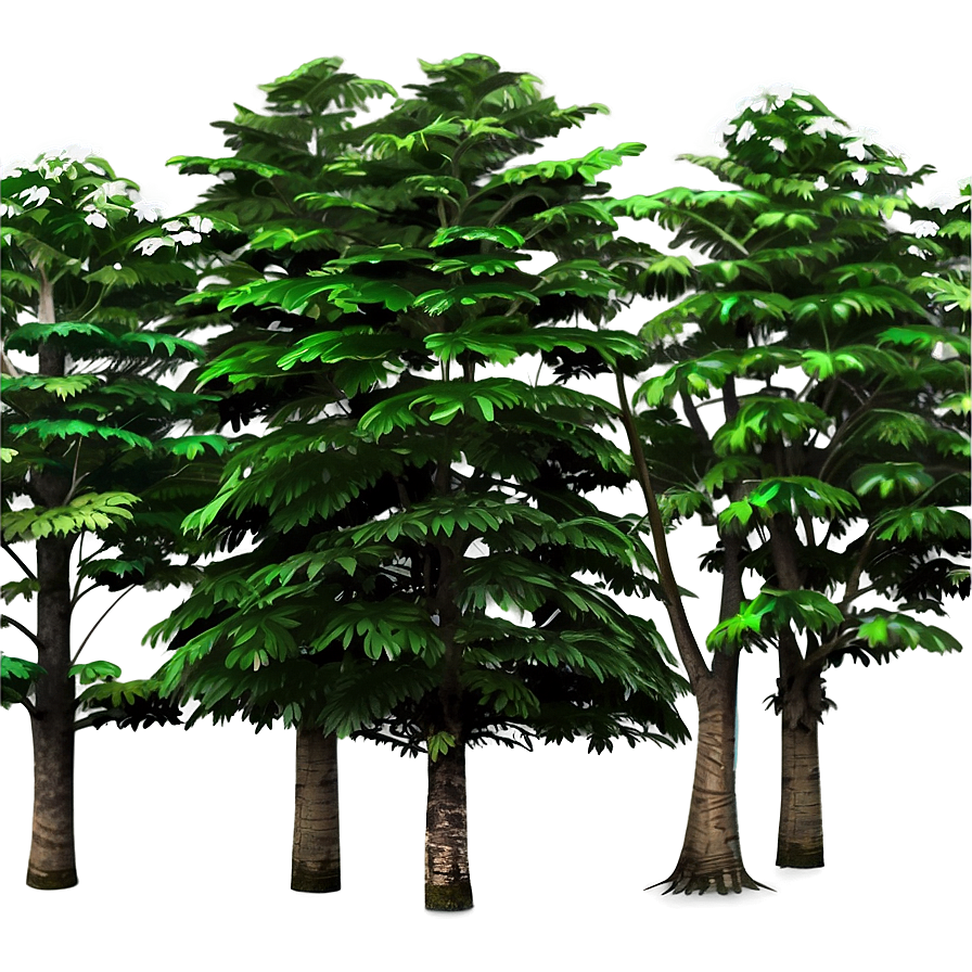 Forest Trees B