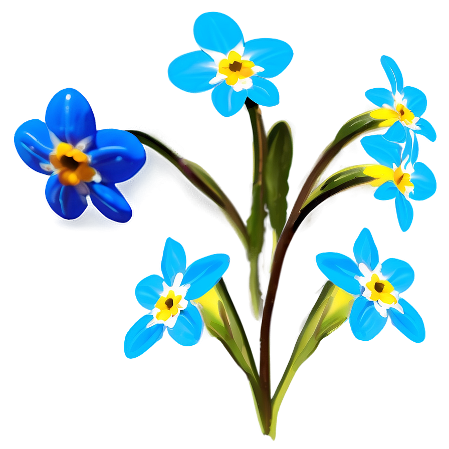 Forget-me-not Flower Drawing Png Geq