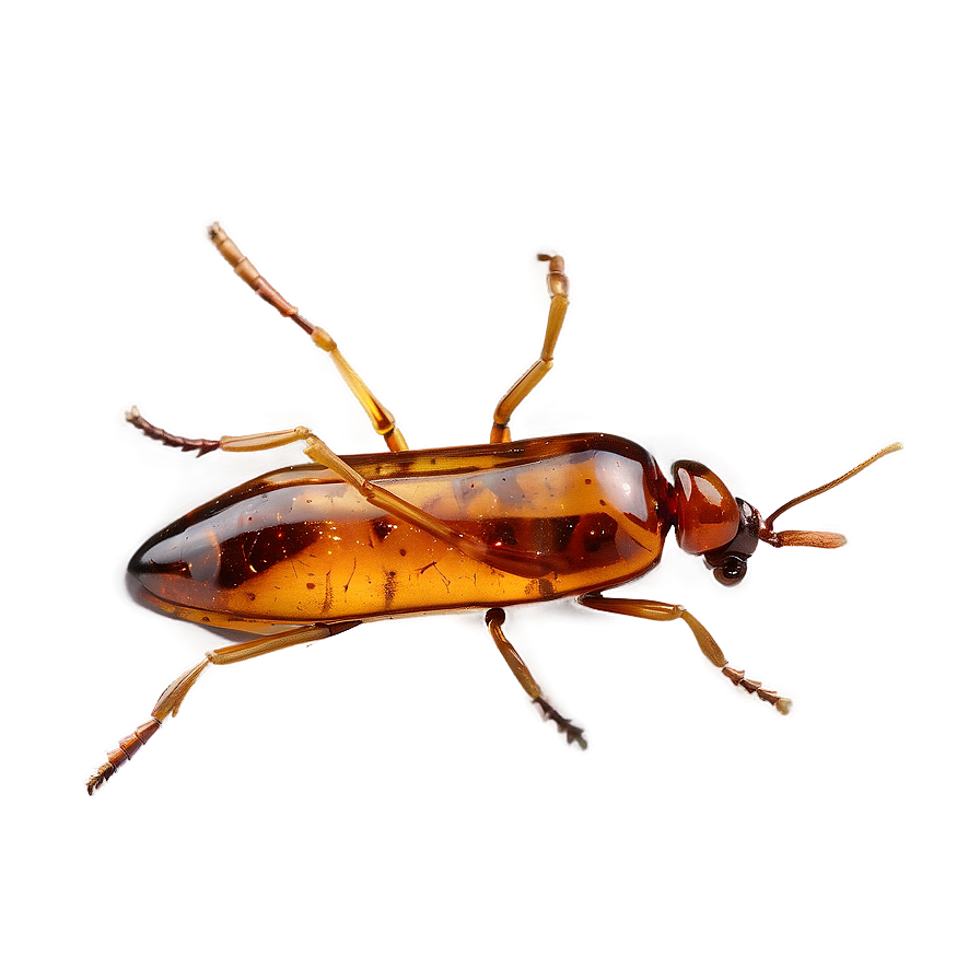 Fossilized Amber Insect Png Cpb88