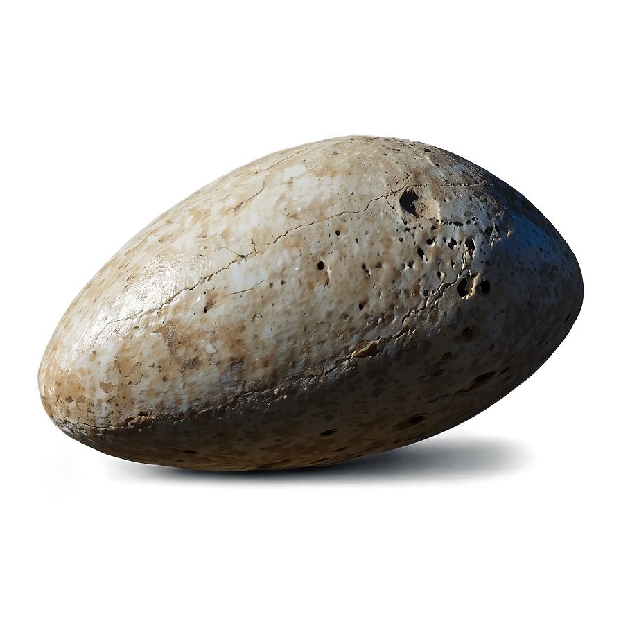 Fossilized Egg Png Qhj