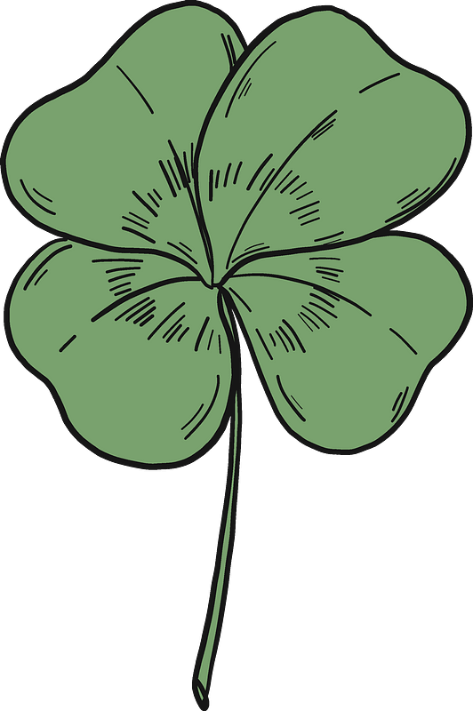 Four Leaf Clover Illustration.png