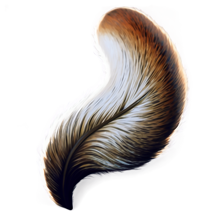 Fox Tail Illustration Png 5