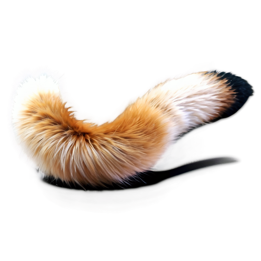 Fox Tail Png 06242024