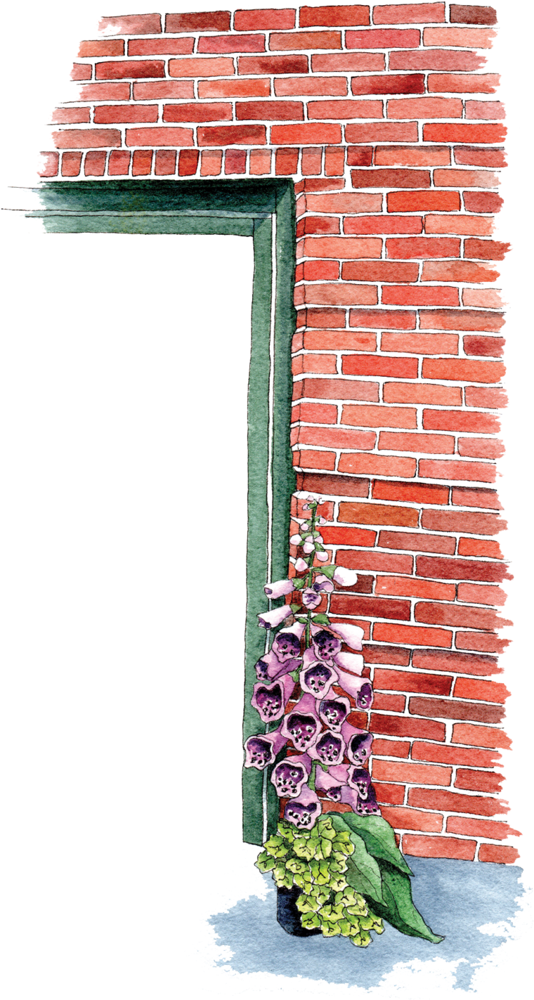 Foxglove Brick Wall Corner