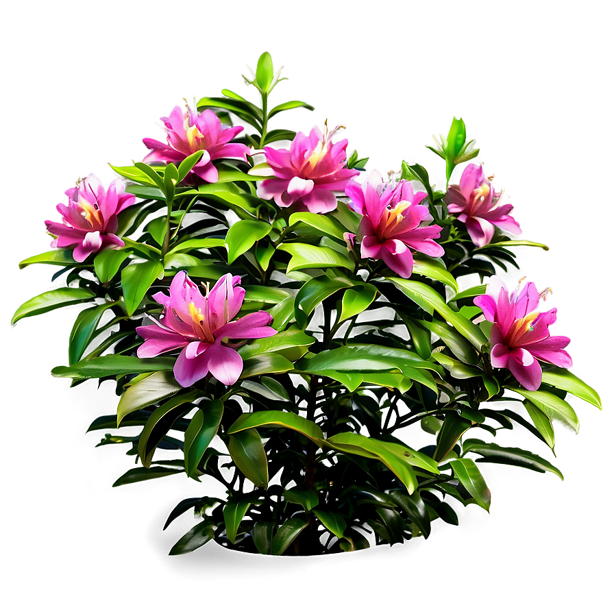 Fragrant Flower Bush Png Rei