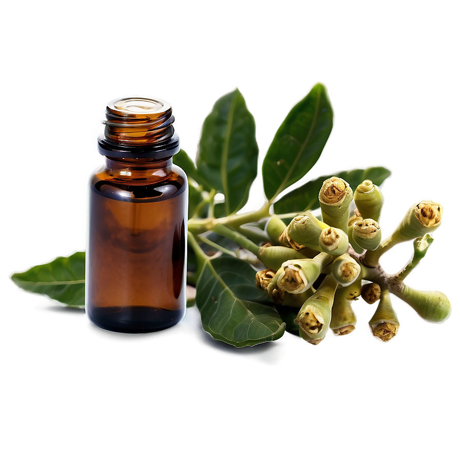 Frankincense Essential Oil Png Beq