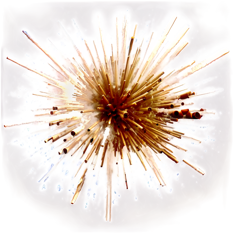 Free Explosion Transparent Png Collection Gdj67