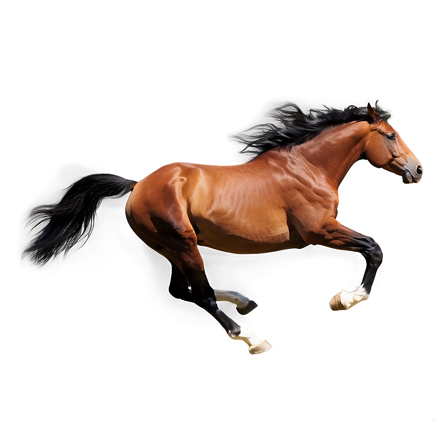 Free Spirit Horse Running Png 06292024