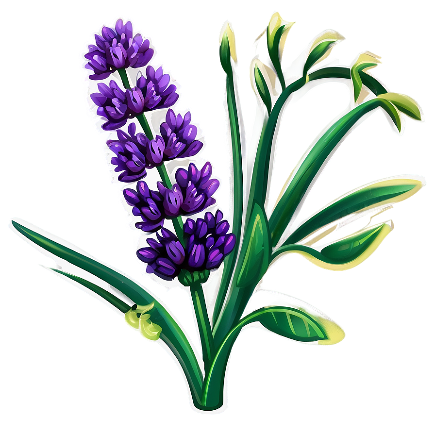 French Lavender Flower Png Utx30