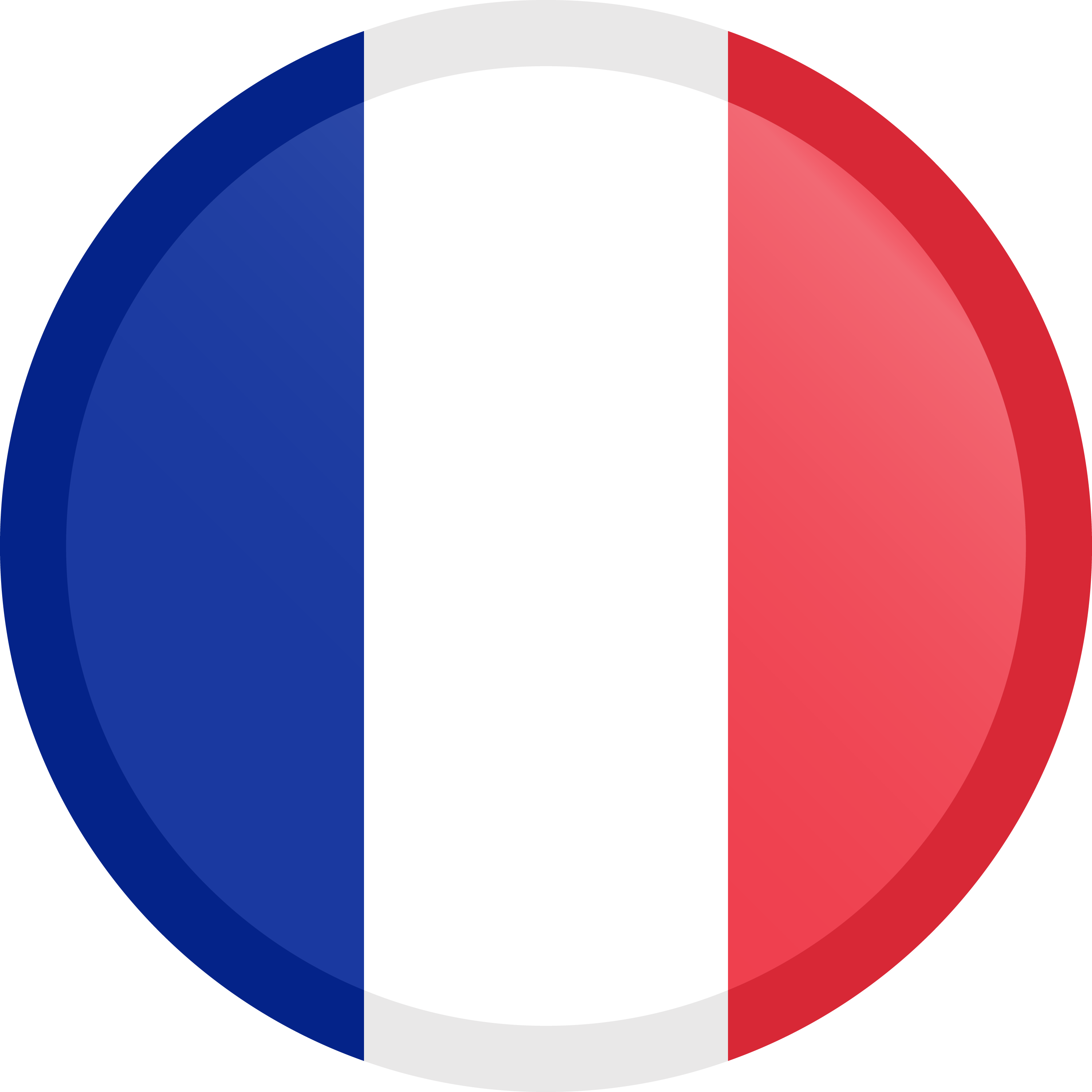 French National Flag Round Icon