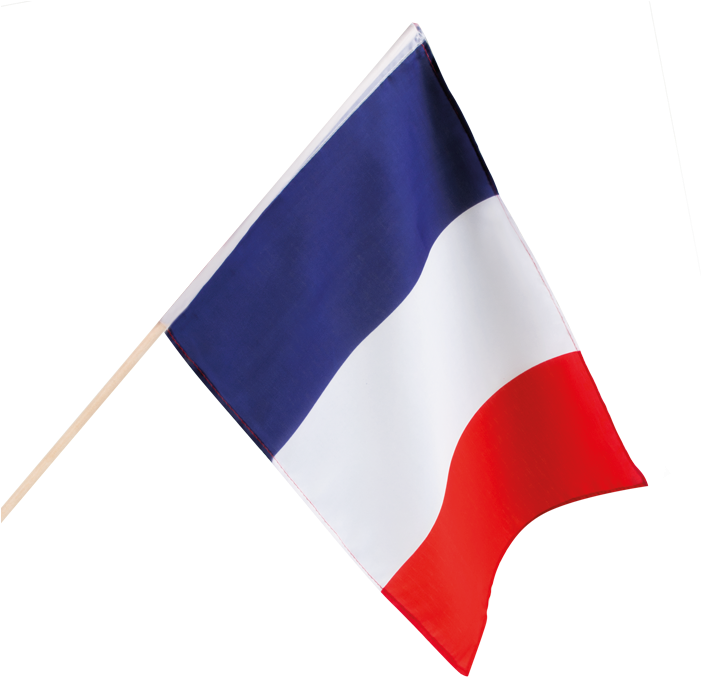 French National Flag Waving