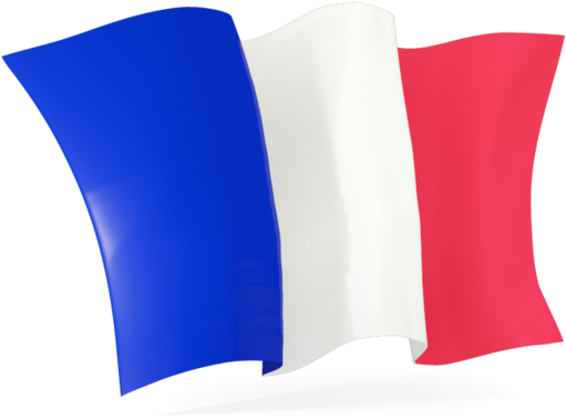 French National Flag Waving