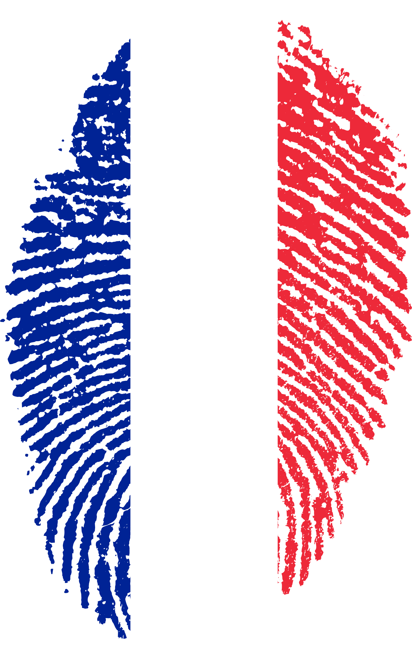 French Tricolor Fingerprint Art