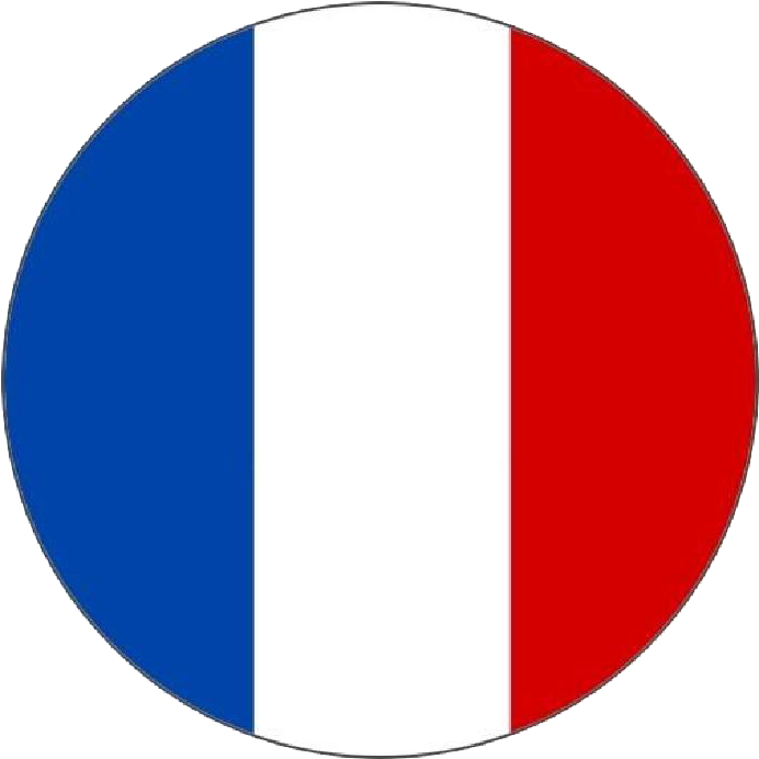 French Tricolor Round Icon