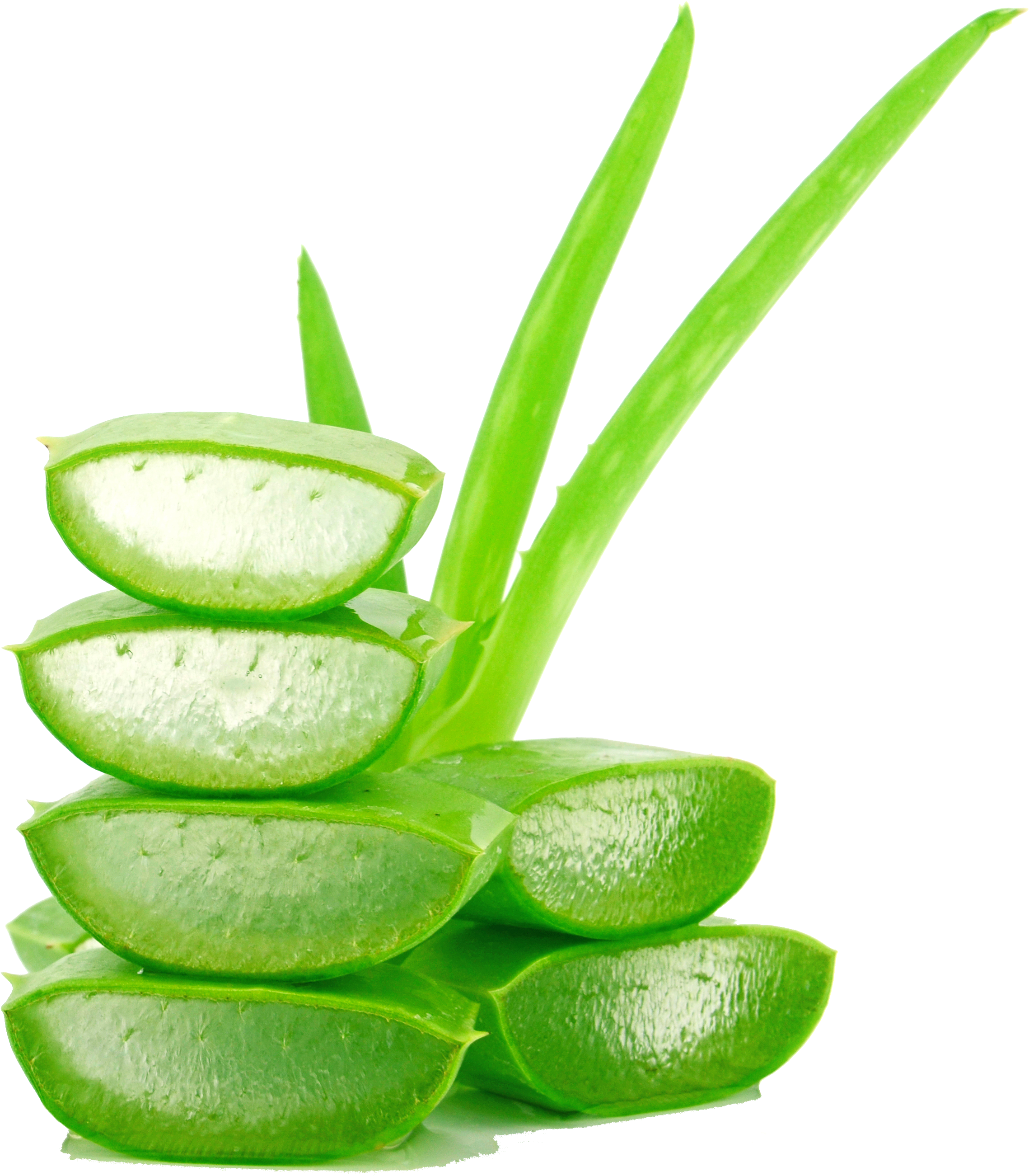 Fresh Aloe Vera Slicesand Leaves