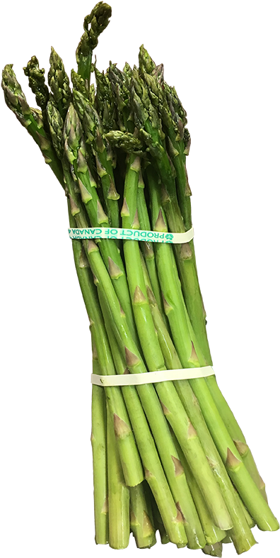 Fresh Asparagus Bunch