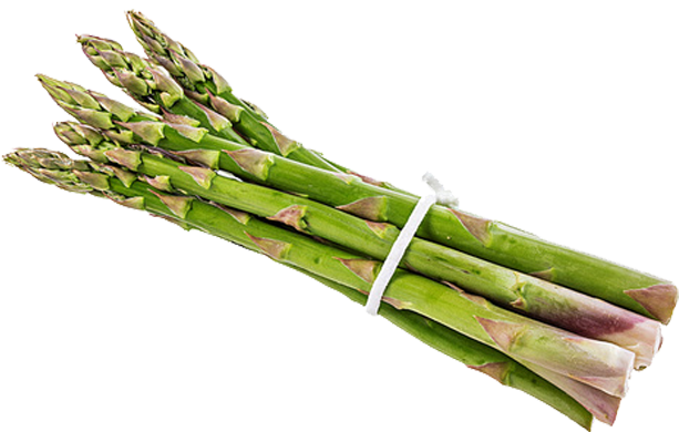 Fresh Asparagus Bunch