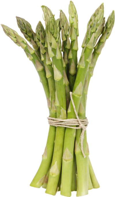 Fresh Asparagus Bunch.png