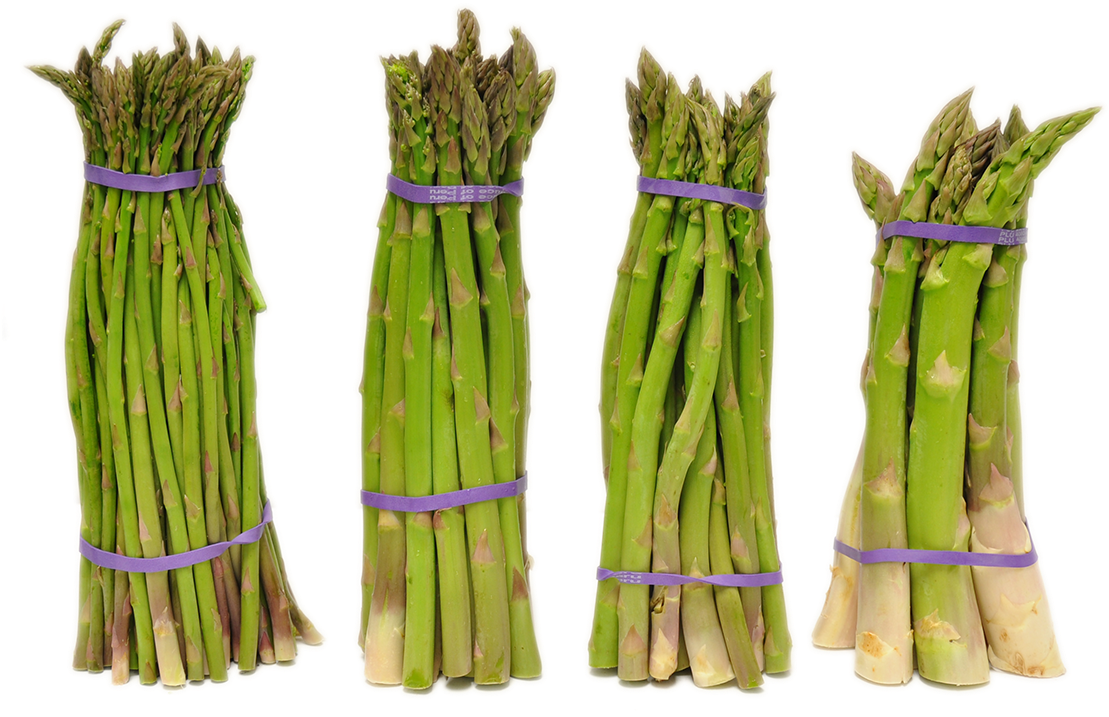 Fresh Asparagus Bunches.png