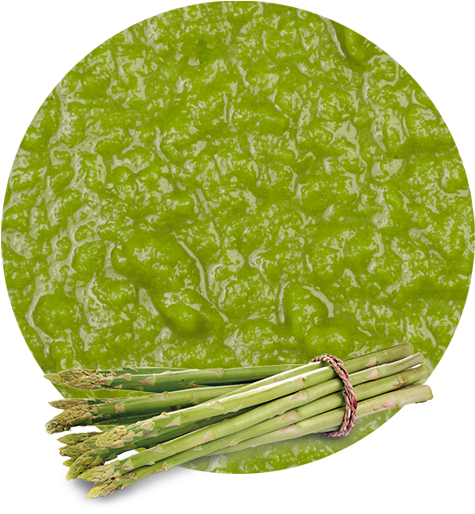 Fresh Asparagus Bundle Green Background