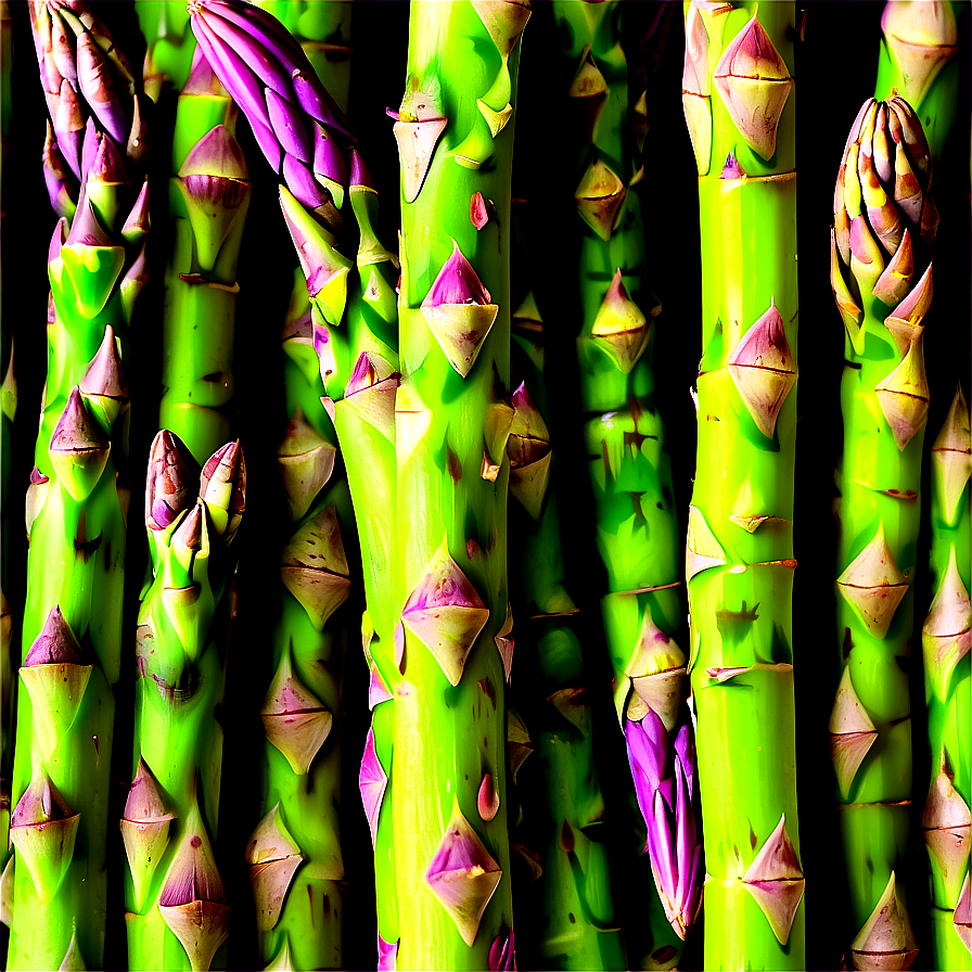 Fresh Asparagus Png 06122024