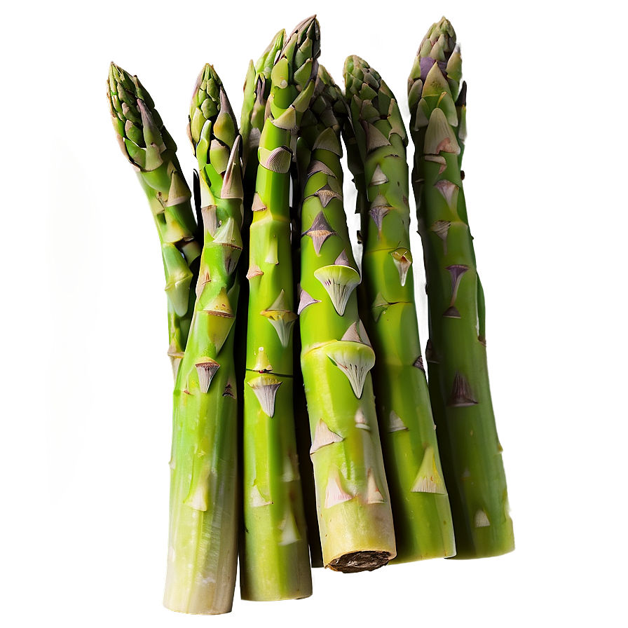 Fresh Asparagus Png 06122024