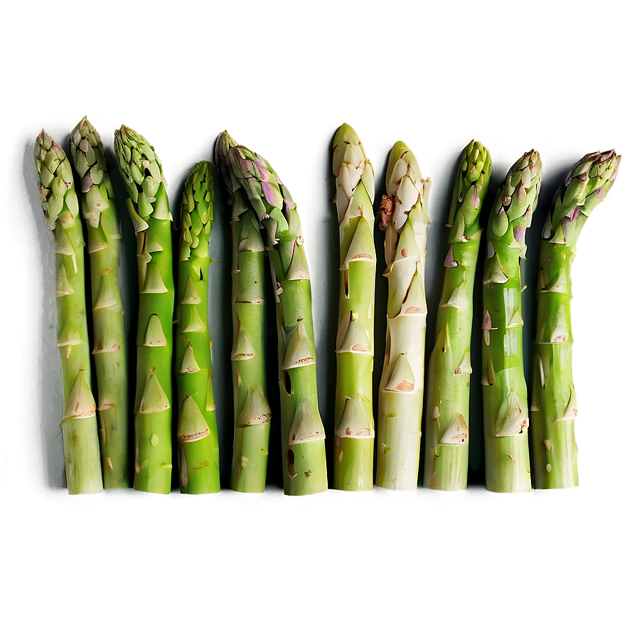 Fresh Asparagus Png 95