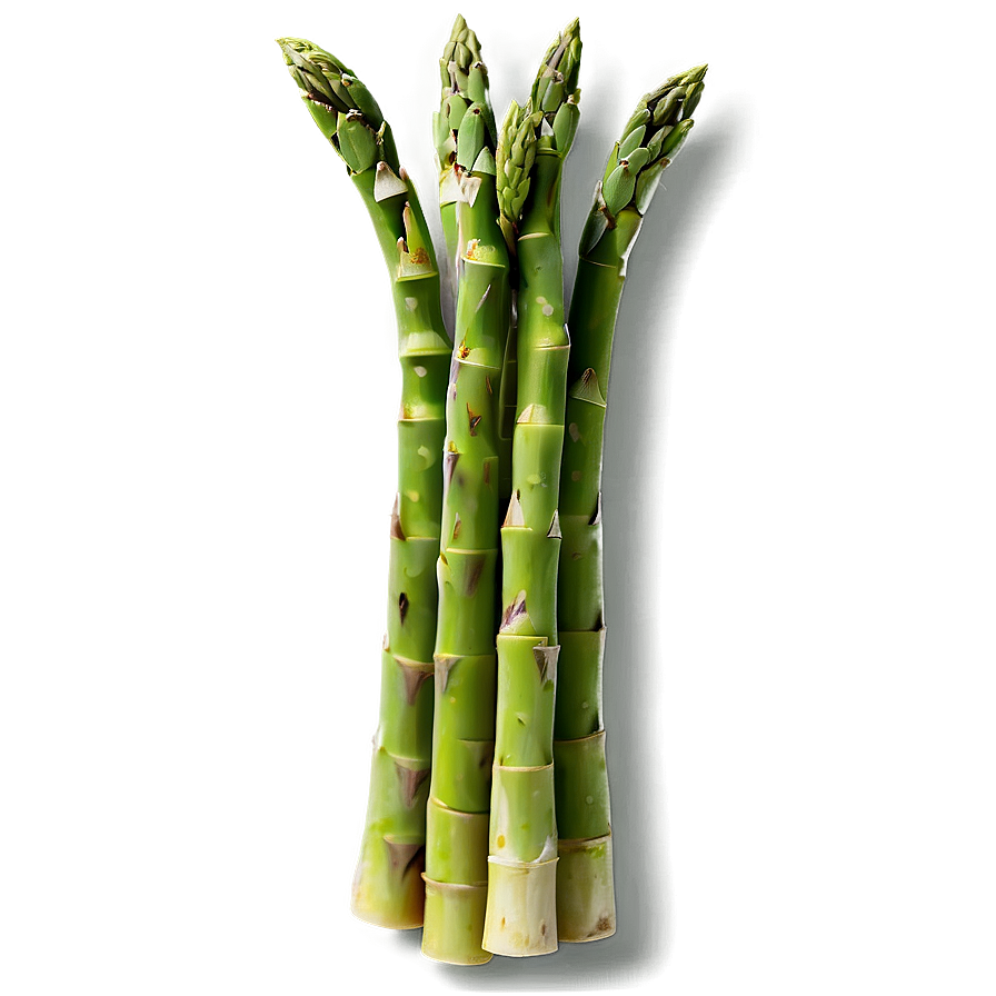 Fresh Asparagus Png Dgr