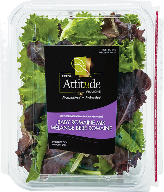 Fresh Attitude Baby Romaine Mix Packaging