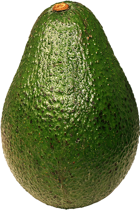 Fresh Avocado Single Fruit