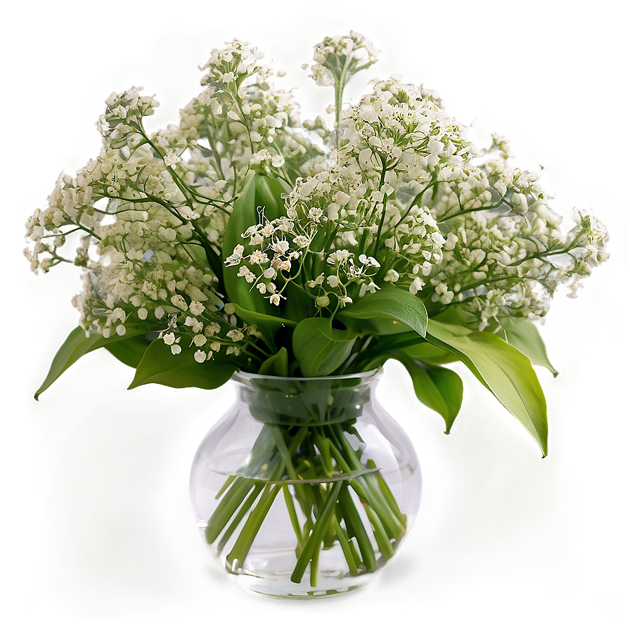 Fresh Baby's Breath Arrangement Png Mky