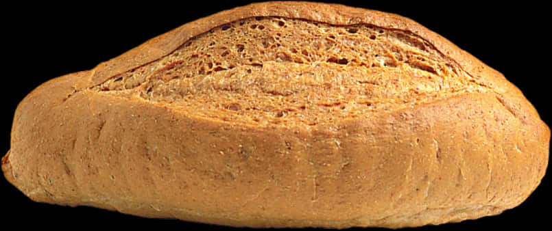 Fresh Baked Whole Wheat Bread Loaf