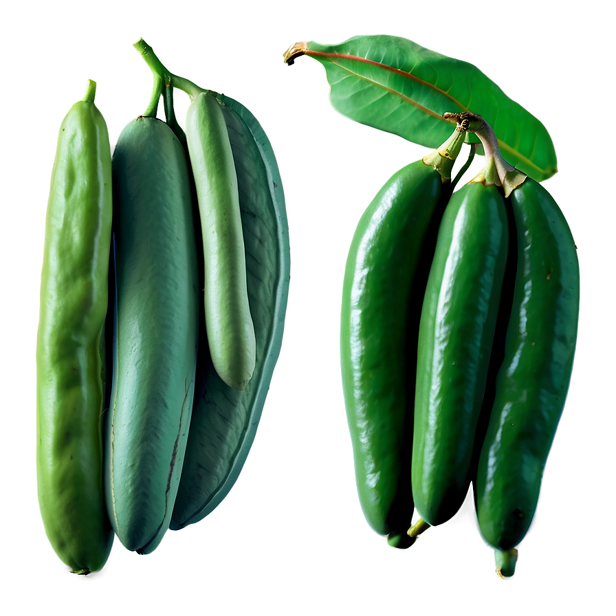 Fresh Beans Png 93