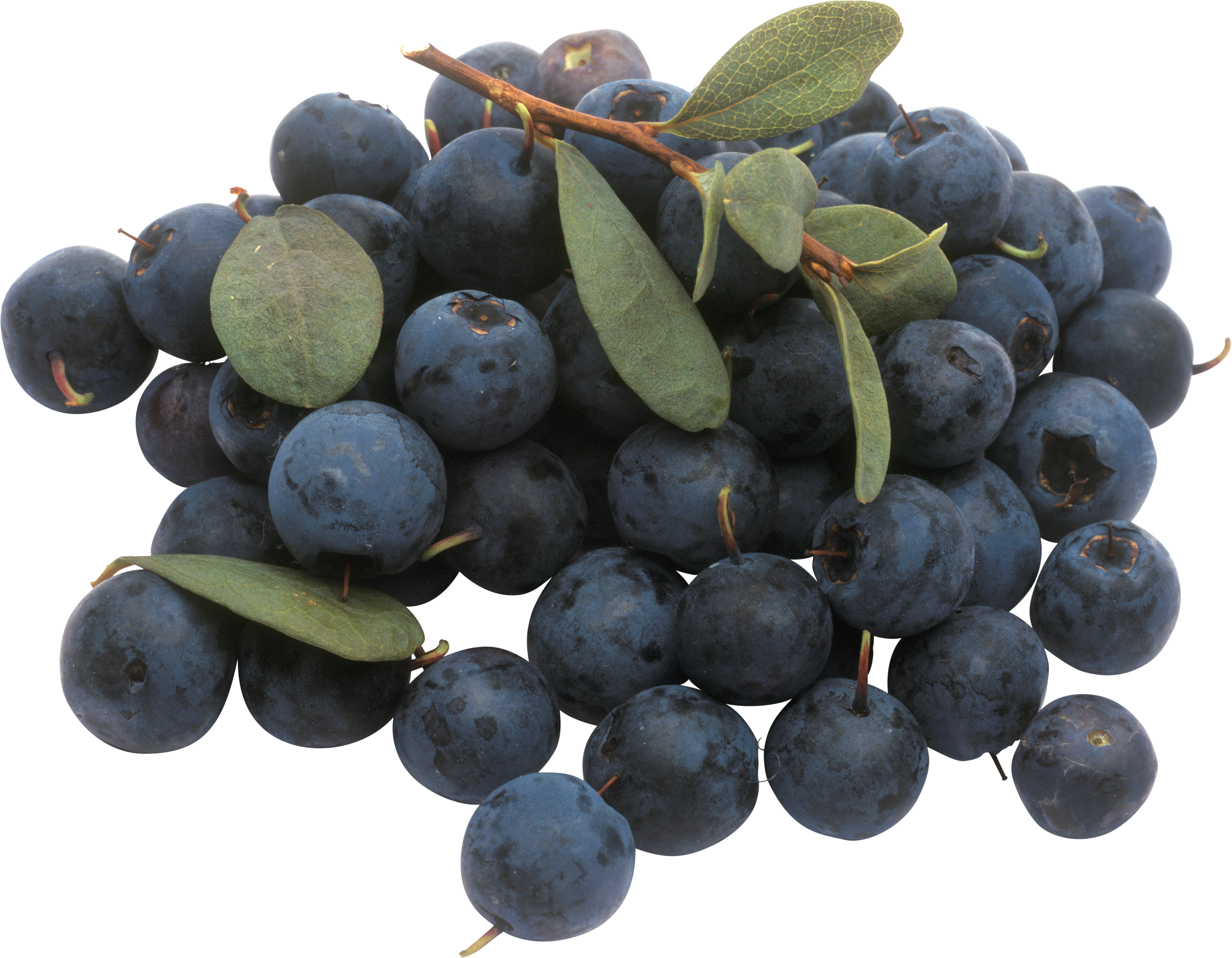 Fresh Blueberries Cluster.png