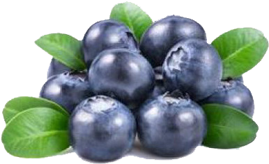 Fresh Blueberries Cluster.png