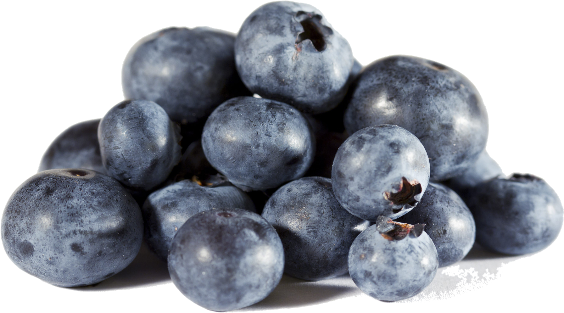 Fresh Blueberries Isolated Background