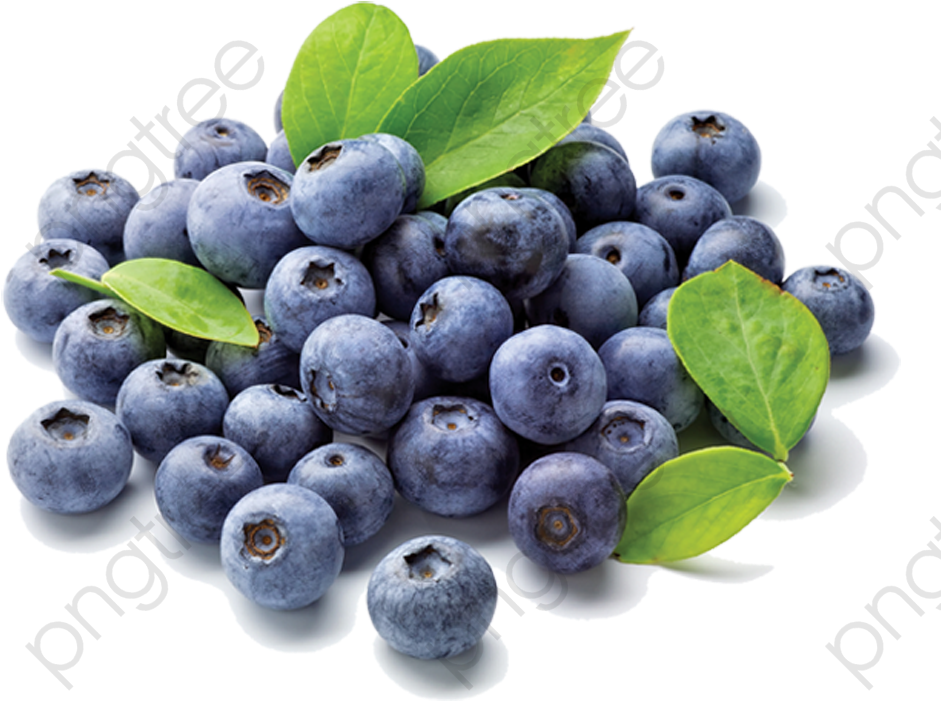 Fresh Blueberries With Leaves.png