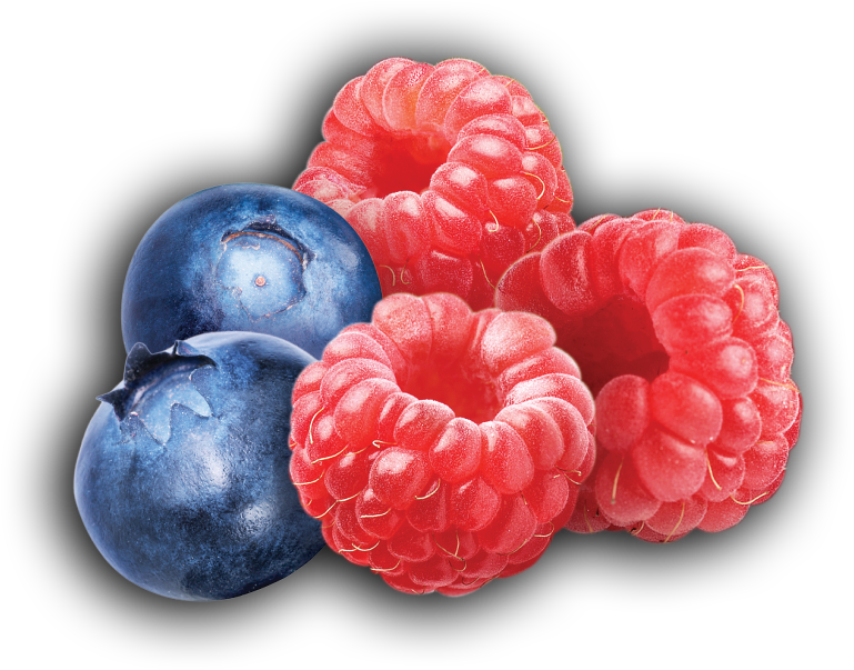 Fresh Blueberriesand Raspberries