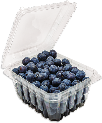 Fresh Blueberriesin Plastic Container