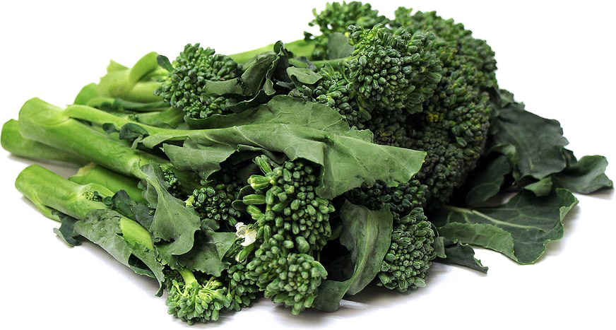 Fresh Broccoli Bunch Isolated