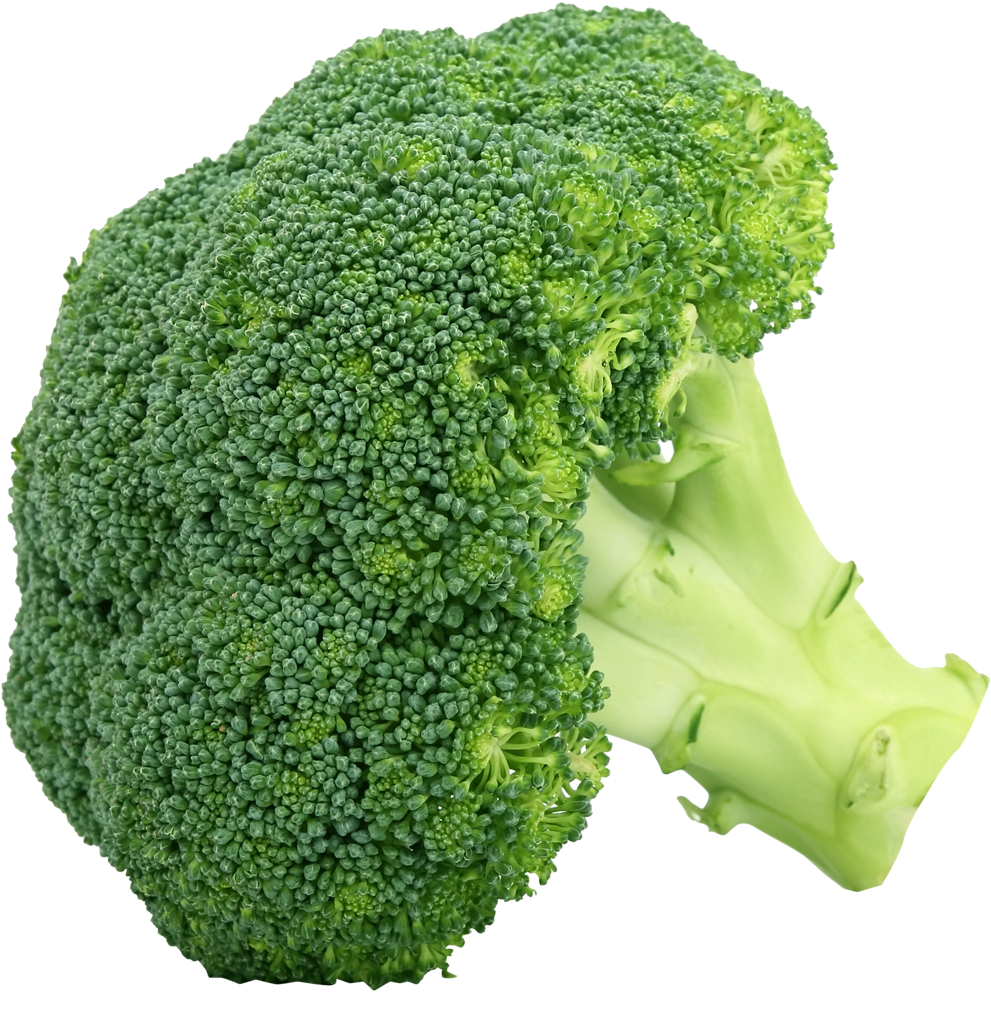 Fresh Broccoli Isolatedon Grey