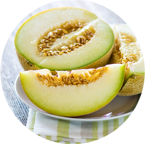 Fresh Cantaloupe Sliceson Plate