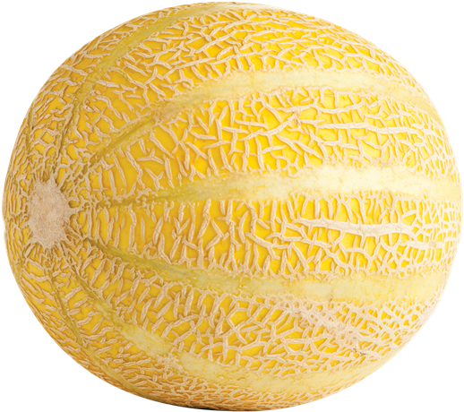 Fresh Cantaloupe Whole Fruit