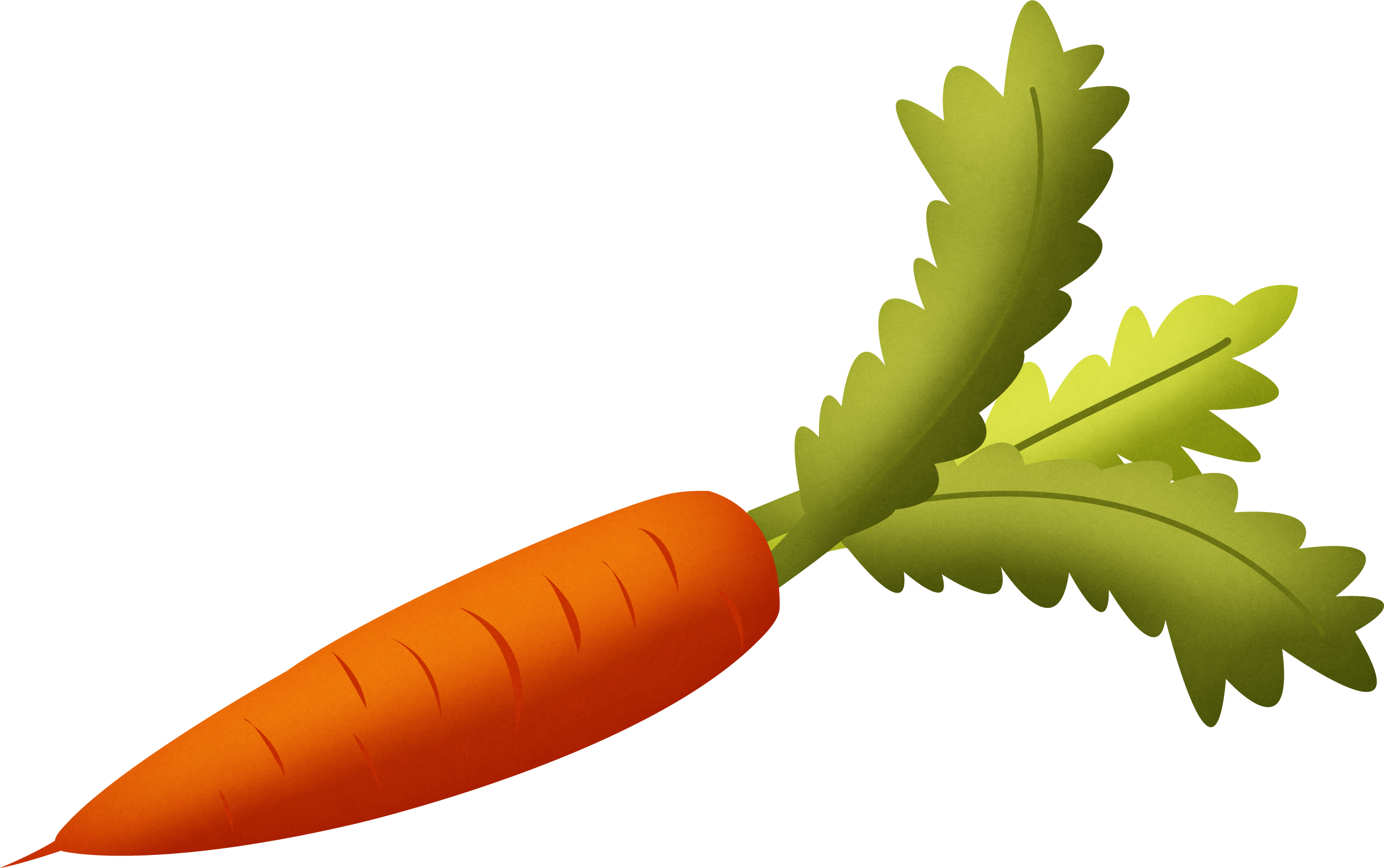 Fresh Carrot Illustration.png