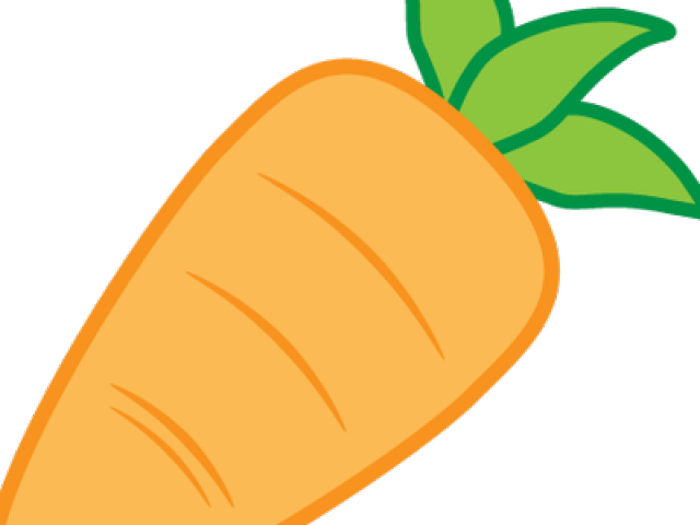 Fresh Carrot Vector Illustration