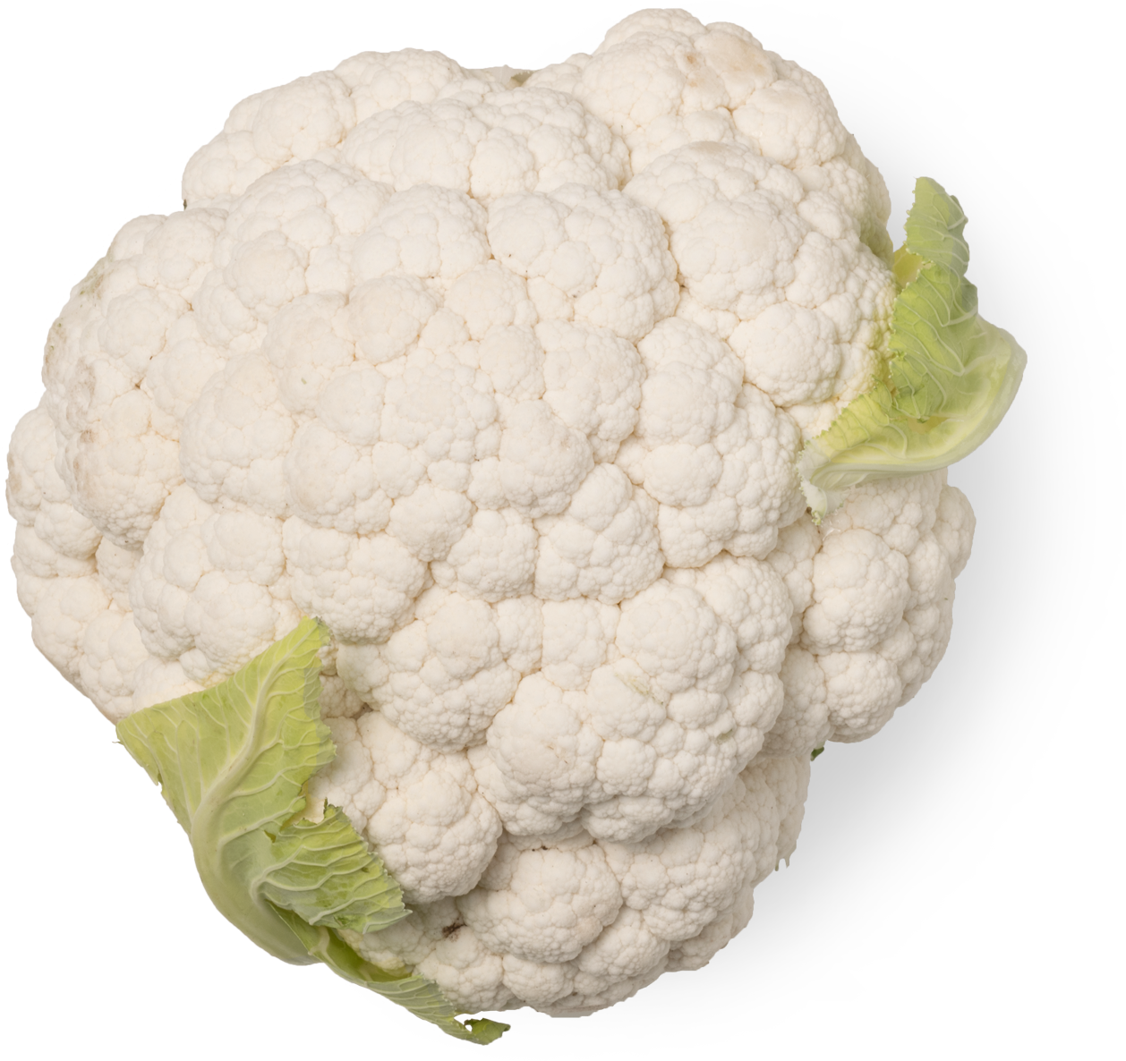 Fresh Cauliflower Isolated.png