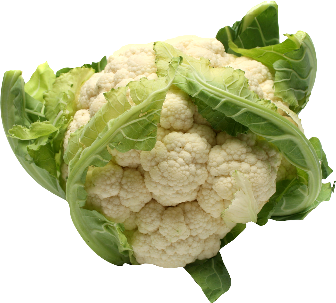 Fresh Cauliflower Isolated.png